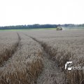 IMG_662050