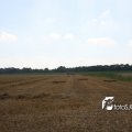 IMG_662053