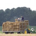 IMG_662075
