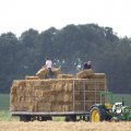IMG_662077