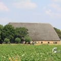 IMG_662129