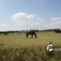 IMG_662138