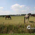 IMG_662140