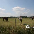 IMG_662141