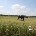 IMG_662142