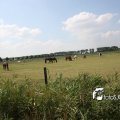 IMG_662143