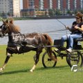 IMG_661882