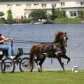 IMG_661883