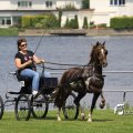 IMG_661884