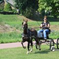IMG_661891