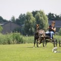 IMG_661895