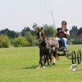 IMG_661900