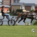 IMG_661905