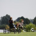 IMG_661908