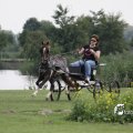 IMG_661911