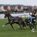 IMG_661918