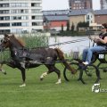 IMG_661920