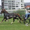 IMG_661921