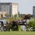 IMG_661939