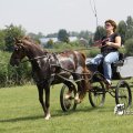 IMG_661952