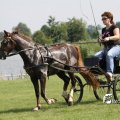 IMG_661953