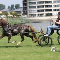 IMG_661959