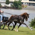 IMG_661966