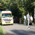 IMG_666481