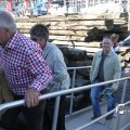 IMG_695375