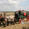 IMG_179265