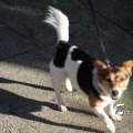 IMG_704993