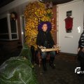 IMG_709831