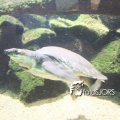 2010K00262