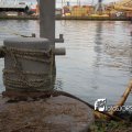 2010K00619