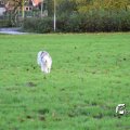 IMG_714984