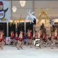 2010L00127