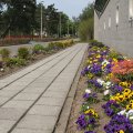 IMG_756514