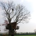 IMG_756535
