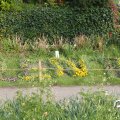 IMG_756547