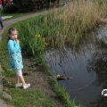 IMG_756581