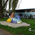 IMG_756607