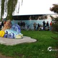 IMG_756610