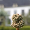 IMG_756810