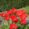IMG_756838