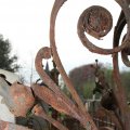 IMG_758209