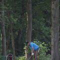 IMG_761595