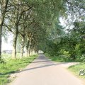 IMG_761783