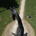 IMG_770759