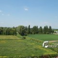 DSC7680
