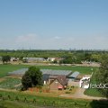 DSC7685